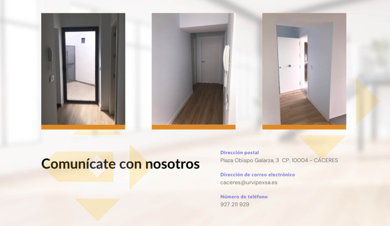 Alcantara 5